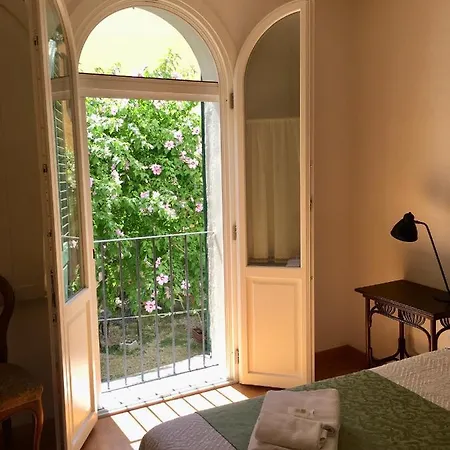 In The Center Of Guest house
